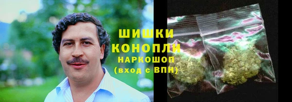 молекула духа Михайловск