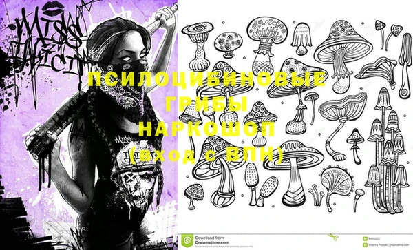 экстази Михайлов